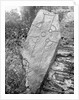 Runic Cross Onchan (Thurith's Cross), Isle of Man by George Bellett Cowen
